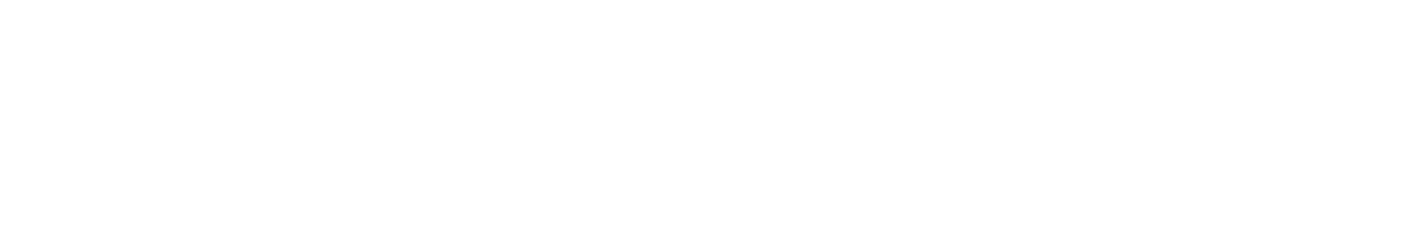 BLITZSEAL